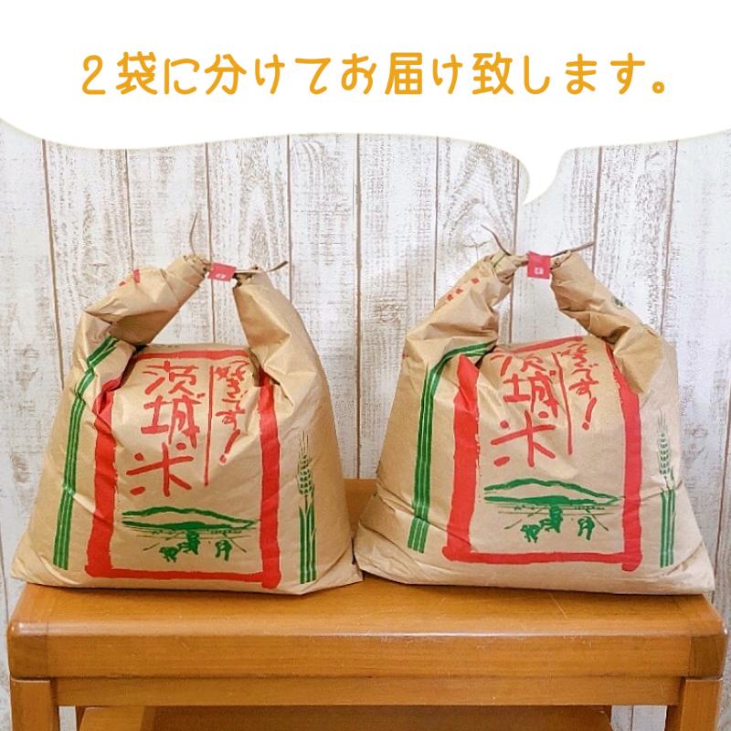 コシヒカリ 新米 玄米 30kg 令和5年産 茨城県産 笠間産 送料 コシヒカリ 新米 玄米 30kg 令和5年産 茨城県産 笠間産 送料