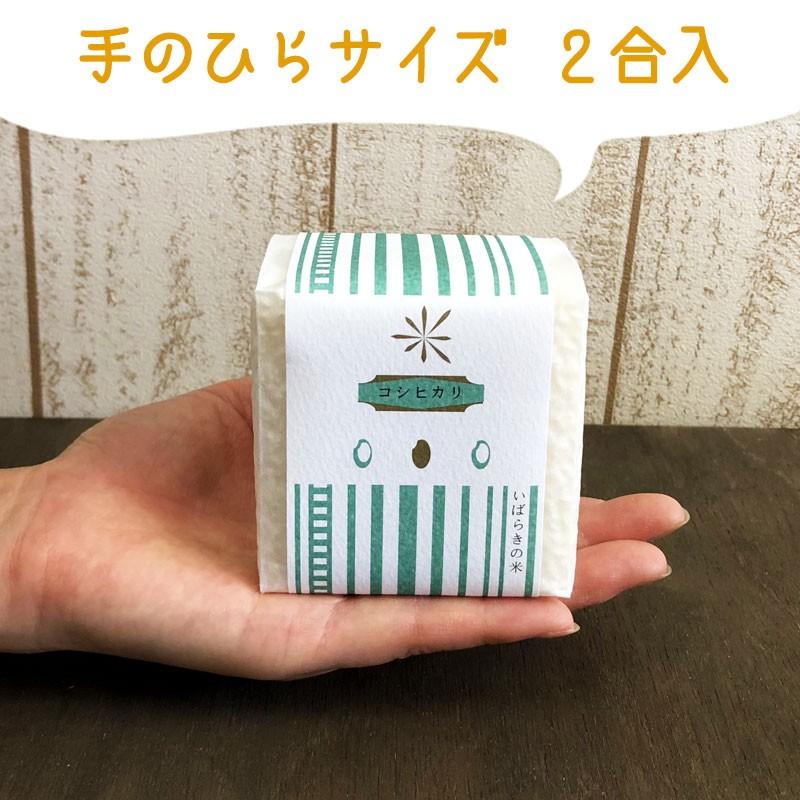 粗品 ギフト 米 サイコロ2個 御祝 御礼 ご挨拶 内祝 プレゼント