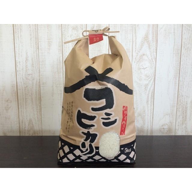 コシヒカリ 白米 5kg 令和5年産 茨城県産 おいしい 米 お米 コシヒカリ 白米 5kg 令和5年産 茨城県産 おいしい 米 お米