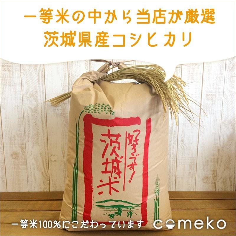 新米 コシヒカリ 白米 5kg 令和５年産 新米 茨城県産  おいしい 米 お米｜komenoaoki｜02