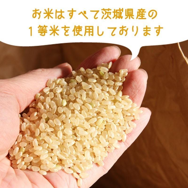 コシヒカリ 白米 5kg 令和5年産 茨城県産 おいしい 米 お米 コシヒカリ 白米 5kg 令和5年産 茨城県産 おいしい 米 お米