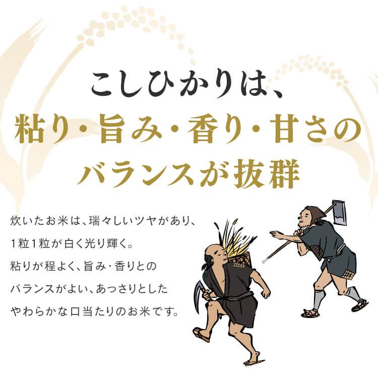 米 10kg 送料無料 令和5年産 千葉県産 こしひかり 低温製法米 精米 お米 10キロ コシヒカリ ご飯 コメ アイリスフーズ｜komenokura｜05