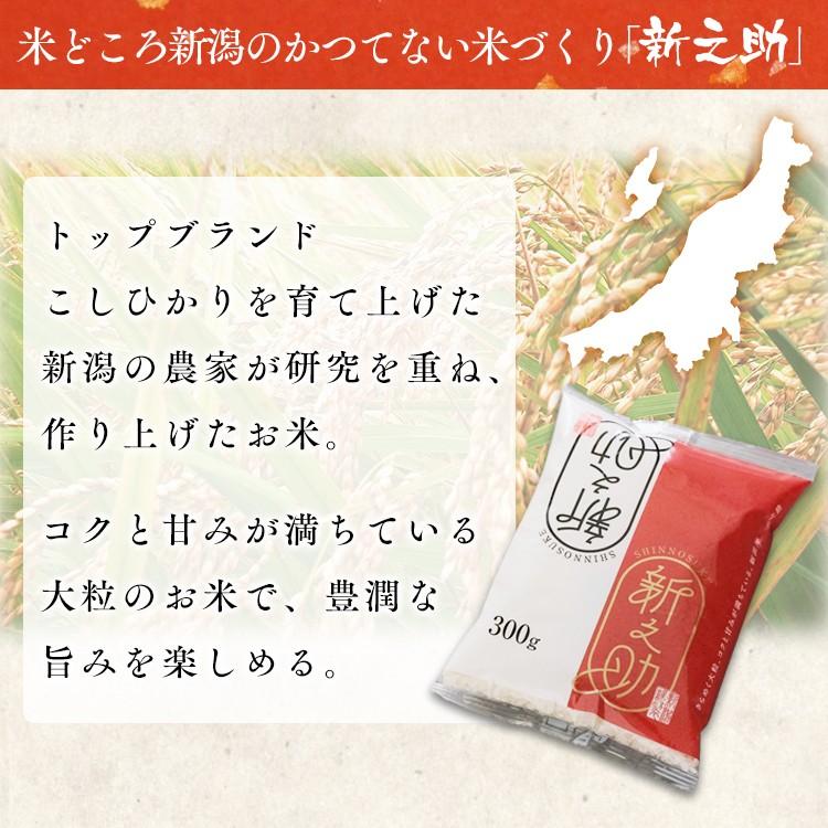 IRIS OHYAMA（アイリスオーヤマ） 米 300g 送料無料 新之助 新之助