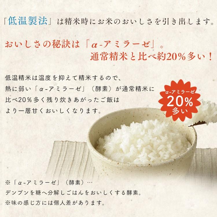 IRIS OHYAMA（アイリスオーヤマ） 米 300g 送料無料 新之助 新之助