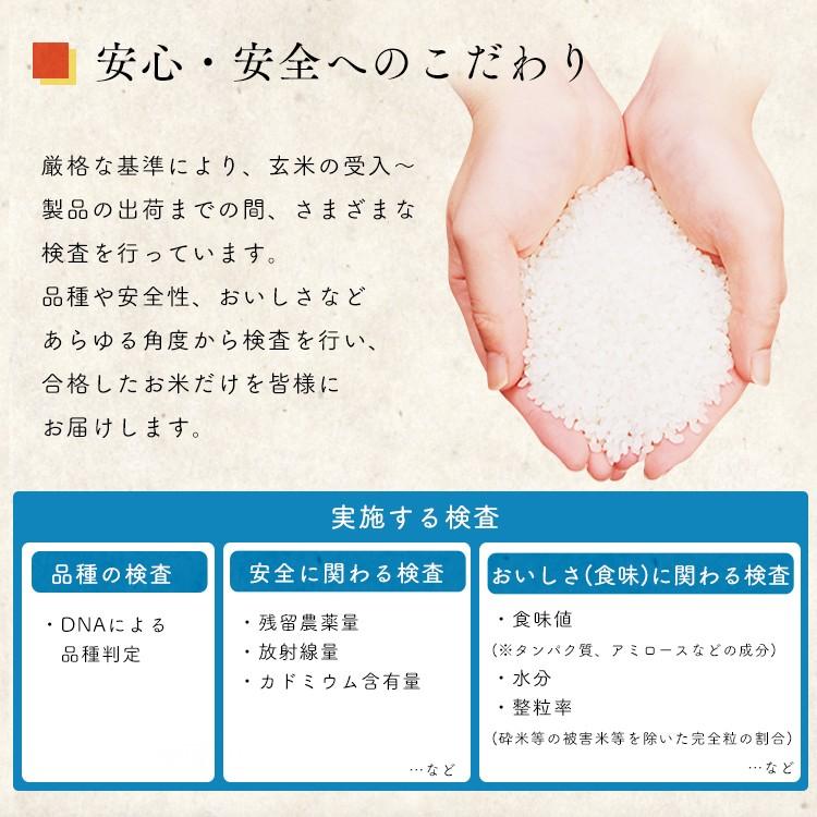 IRIS OHYAMA（アイリスオーヤマ） 米 300g 送料無料 新之助 新之助