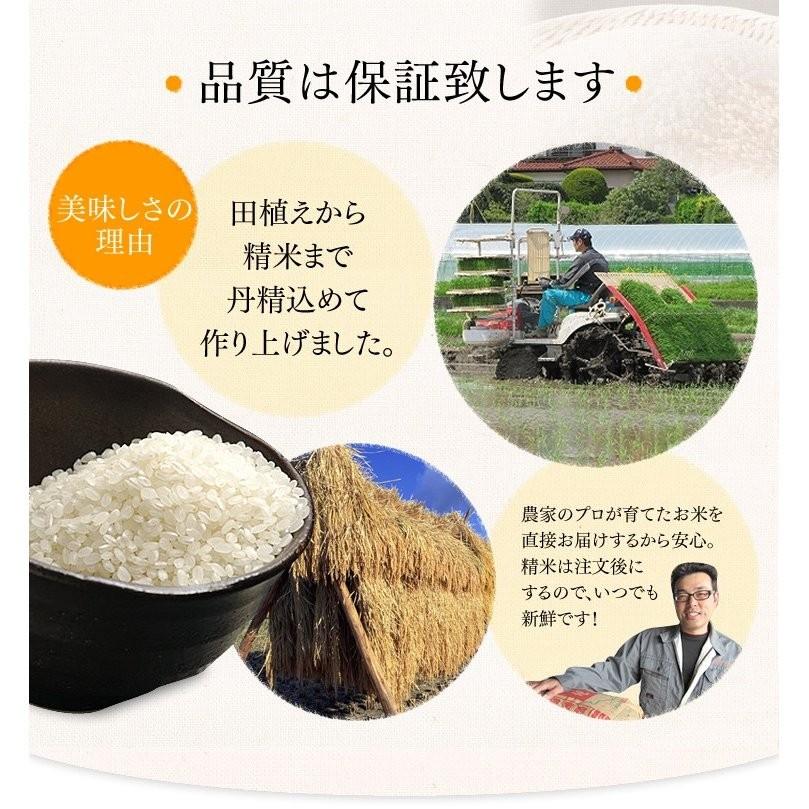 米 30kg 送料無料 ササニシキ 30kg お米 ささにしき 送料無料 白米 ご飯 米30kg 安い 5kg×6袋 一等米 宮城県産 うるち米 精白米 令和5年産 宮城県産ササニシキ｜komenokura｜03