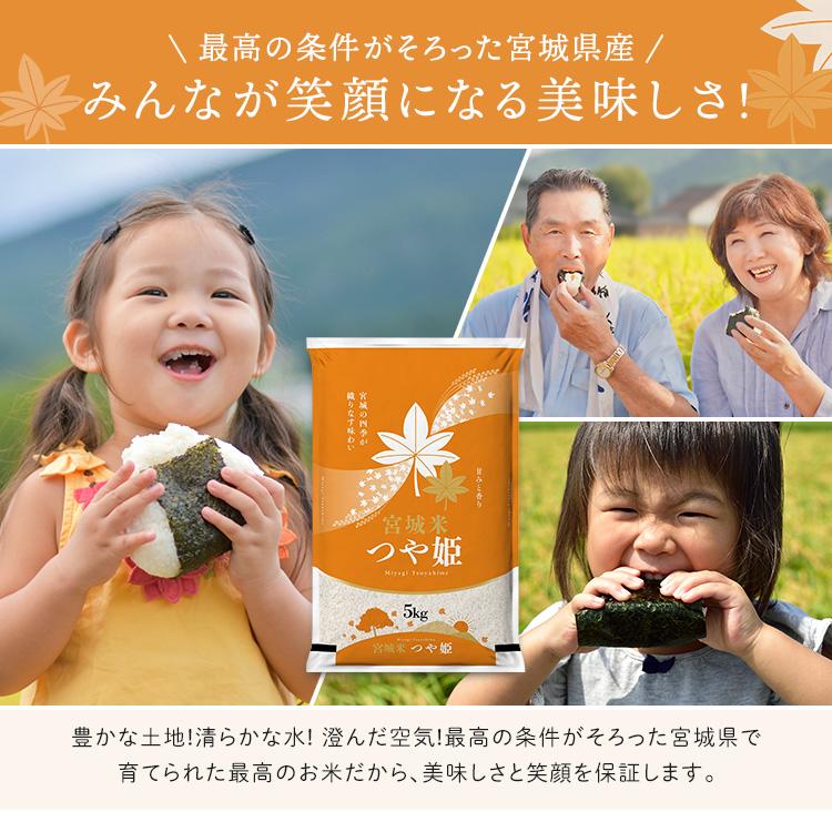 つや姫 20kg お米 米 送料無料 白米 安い 5kg×4袋 一等米 宮城県産