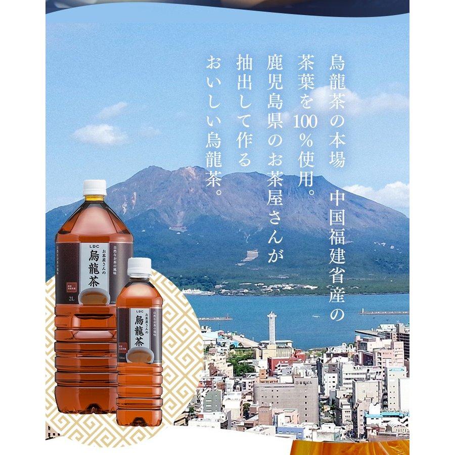 お茶 ペットボトル 500ml 48本 烏龍茶 500ml×48本 ウーロン茶 LDC お茶屋さん エルディーシー 飲料 送料無料｜komenokura｜11