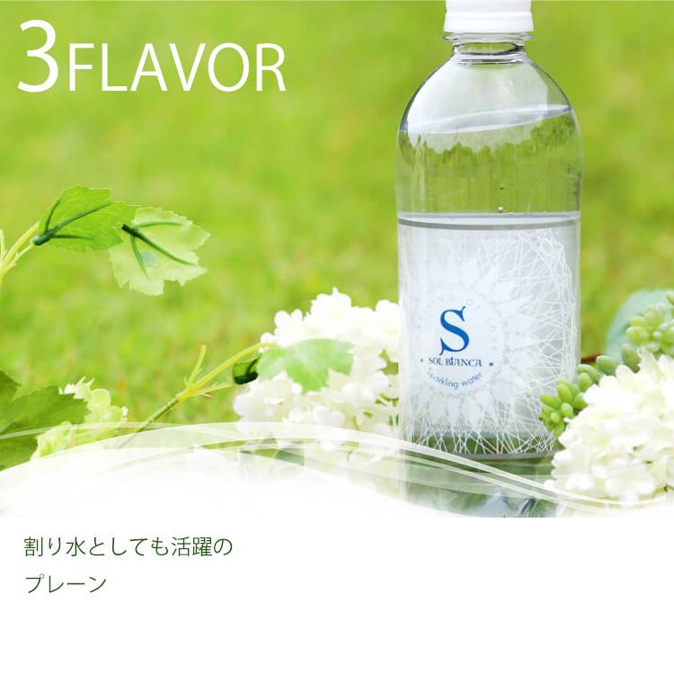 シリカ 炭酸水 24本 炭酸水 500ml 24本 シリカ水 天然水 レモン アップル シリカ炭酸水 健康 美容 SOL ミネラル炭酸水 ソール天然水 炭酸飲料｜komenokura｜06