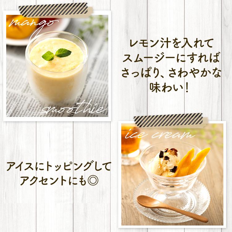 ドライマンゴー 500g 2袋 ドライフルーツ マンゴー 不揃い  食物繊維 保存食 非常食 ふぞろい メール便 |  | 05