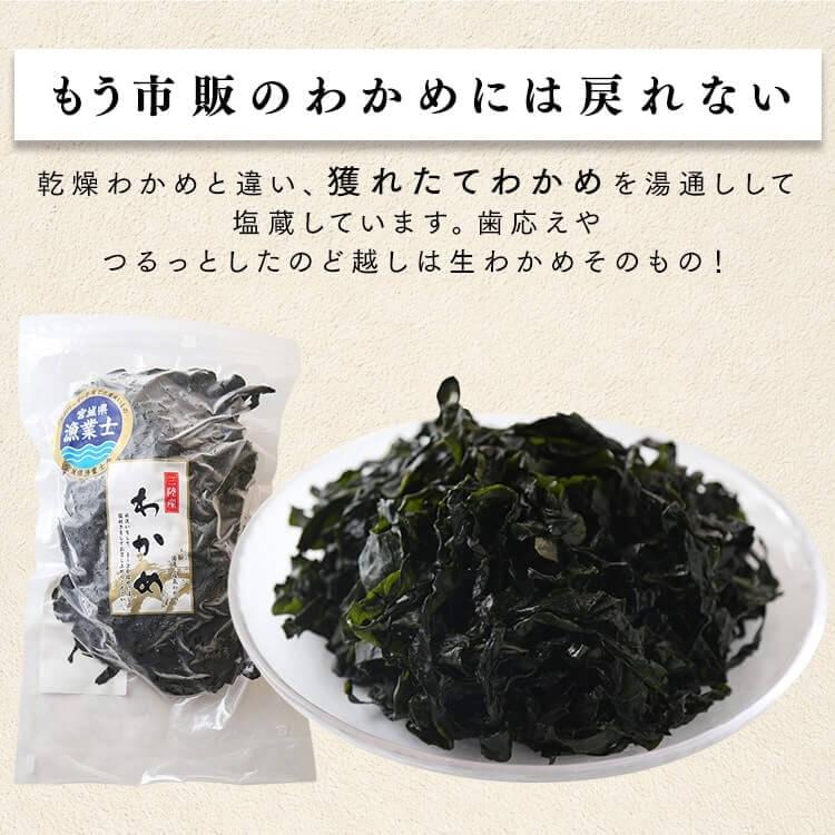 御中元 お中元 2024 わかめ 冷蔵 三陸産 塩蔵わかめ 500g ワカメ