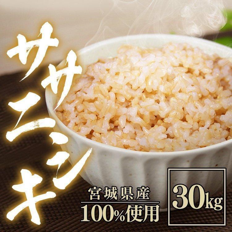 ササニシキ 米 30kg お米 選べる 玄米 精米 令和7年産 宮城県産 一等米 