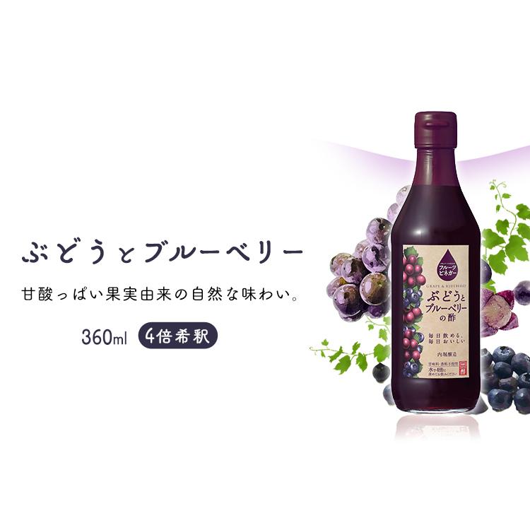 飲むお酢 ギフト フルーツビネガー 母の日 2本セット フルーツビネガー360ml 贈り物 プレゼント 内堀 FV-155A｜komenokura｜07