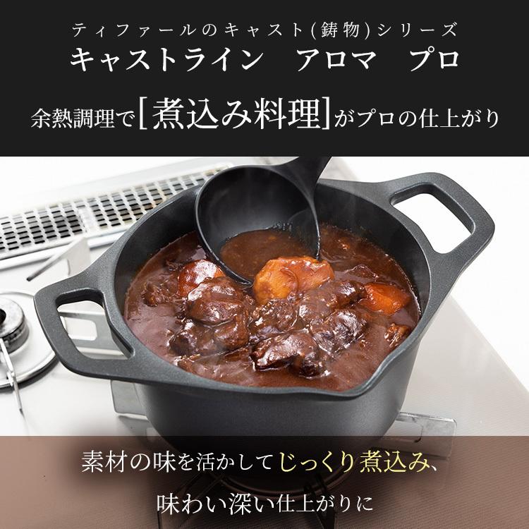 T-fal（ティファール） 両手鍋 20cm ガラス蓋付 キャストライン アロマ