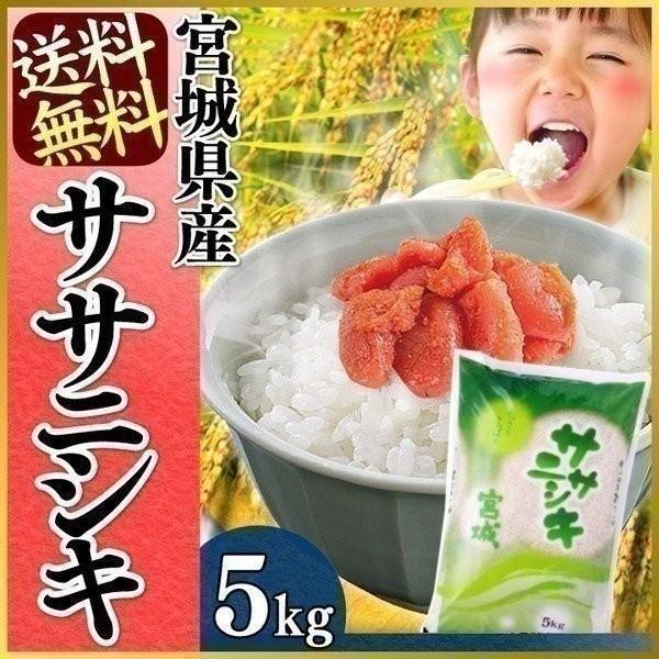 ササニシキ 5kg お米 5kg ささにしき 送料無料 白米 一等米 米5kg 安い 一等米 宮城県産 白米 うるち米 精白米 ご飯 令和5年産｜komenokura｜06