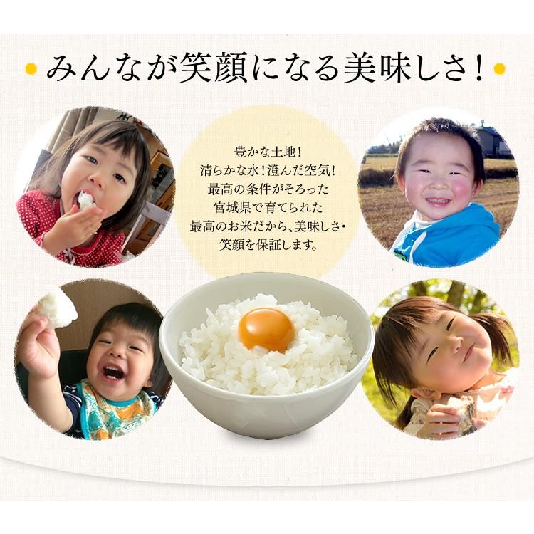 ひとめぼれ 米 30kg 送料無料 玄米 お米 宮城県産 産地直送 送料 ひとめぼれ 米 30kg 送料無料 玄米 お米 宮城県産 産地直送 送料