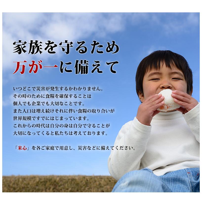 令和7年産新米予約 5年保存個人用備蓄米 米心20kg(5kg×4個) (約 令和7年産新米予約 5年保存個人用備蓄米 米心20kg(5kg×4個) (約