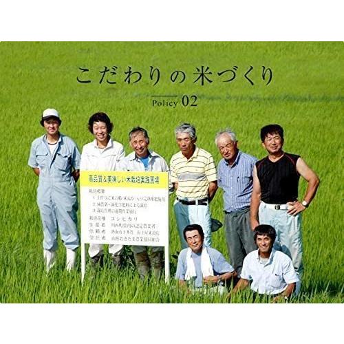 新米【金芽米（無洗米）】まばゆきひめ（令和7年産）2kg（受注精米