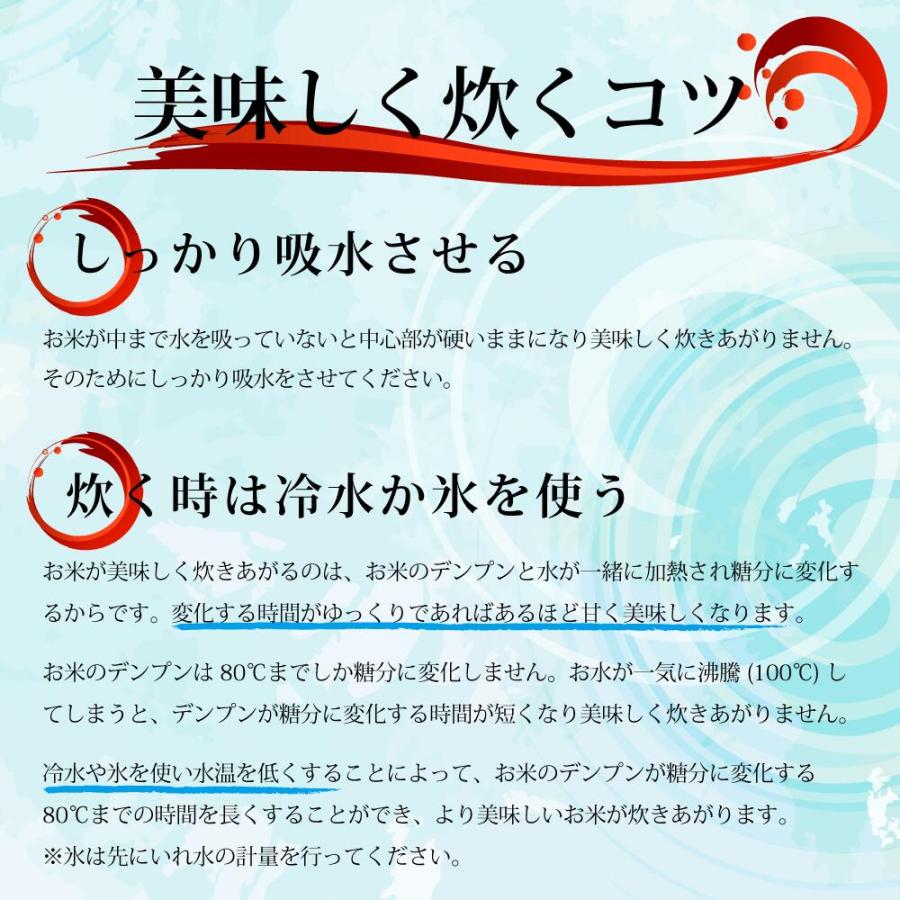 米 新潟県 コシヒカリ 令和7年 10kg 新潟県産 コシヒカリ 白米10kg （5kg×2） ｜ | コシヒカリ | 11