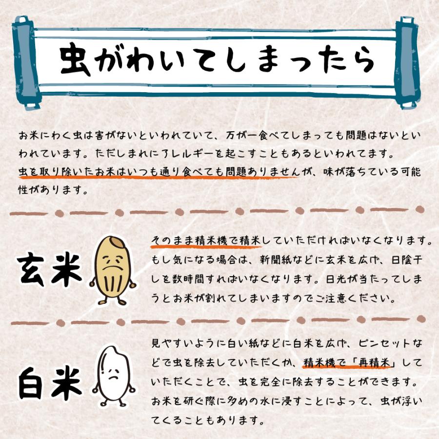 米 新潟県 コシヒカリ 令和7年 10kg 新潟県産 コシヒカリ 白米10kg （5kg×2） ｜ | コシヒカリ | 13