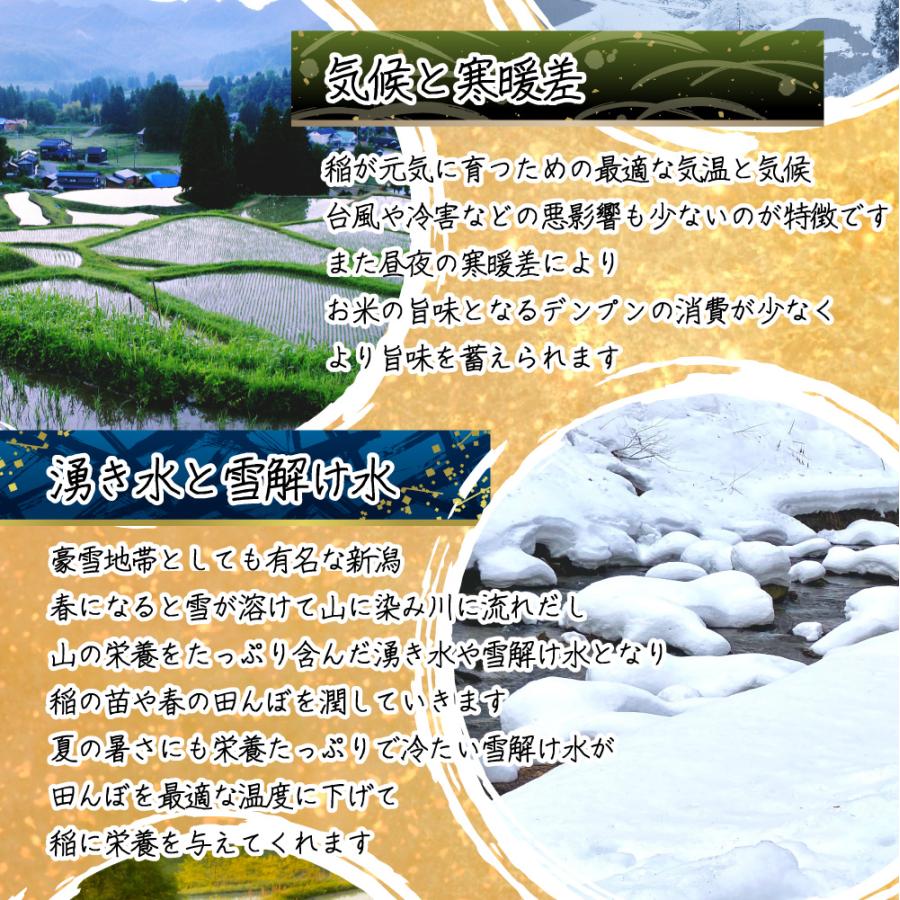 米 新潟県 コシヒカリ 令和7年 10kg 新潟県産 コシヒカリ 白米10kg （5kg×2） ｜ | コシヒカリ | 03