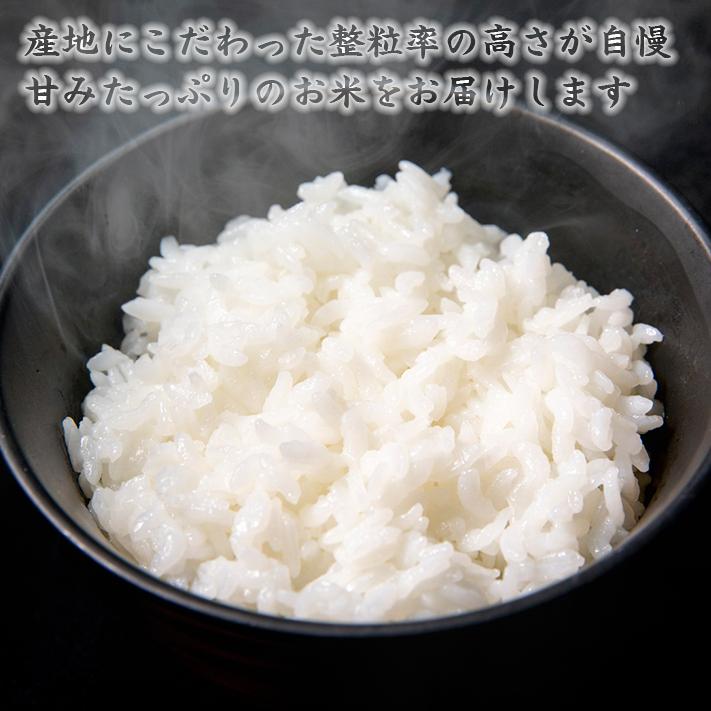 お米 新米 送料無料 新潟県産 コシヒカリ 白米 10kg (5kg×2袋) 令和4年産新米 | 米 おこめ お米 10kg 白米 送料無料 | LINE友達登録で5%OFFクーポン|komenouka|05