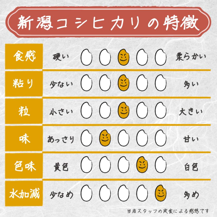 米 新潟県 コシヒカリ 令和7年 10kg 新潟県産 コシヒカリ 白米10kg （5kg×2） ｜ | コシヒカリ | 05