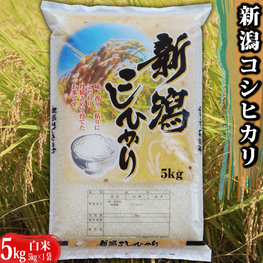 新米 新潟県 ５年産 コシヒカリ 白米 5ｋｇ(5ｋｇ×１袋) お米 米 - 米