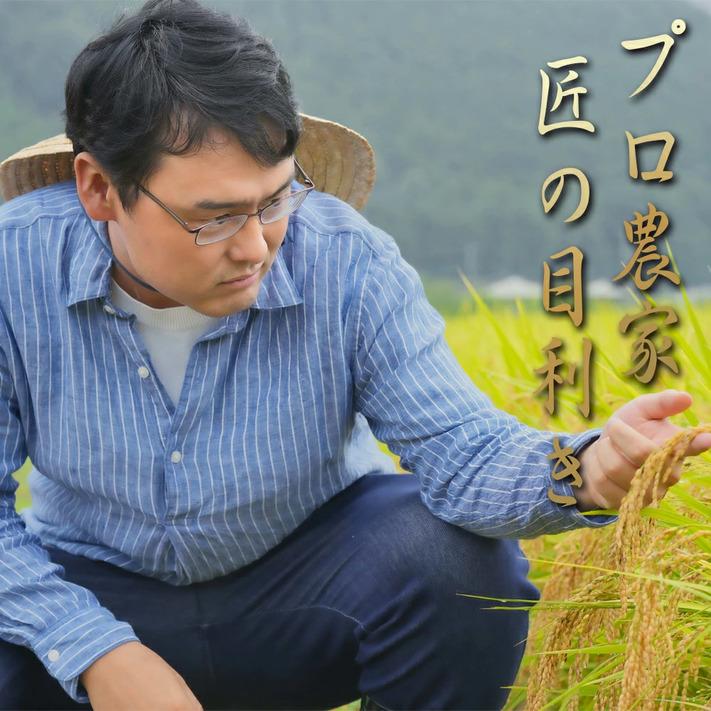 コシヒカリ 米 令和6年 10kg 玄米10kg 新潟県南魚沼 しおざわ産 コシヒカリ 米 令和6年 10kg 玄米10kg 新潟県南魚沼 しおざわ産