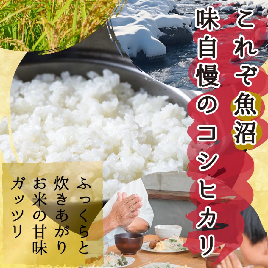 コシヒカリ 米 令和6年 10kg 玄米10kg 新潟県南魚沼 しおざわ産 コシヒカリ 米 令和6年 10kg 玄米10kg 新潟県南魚沼 しおざわ産