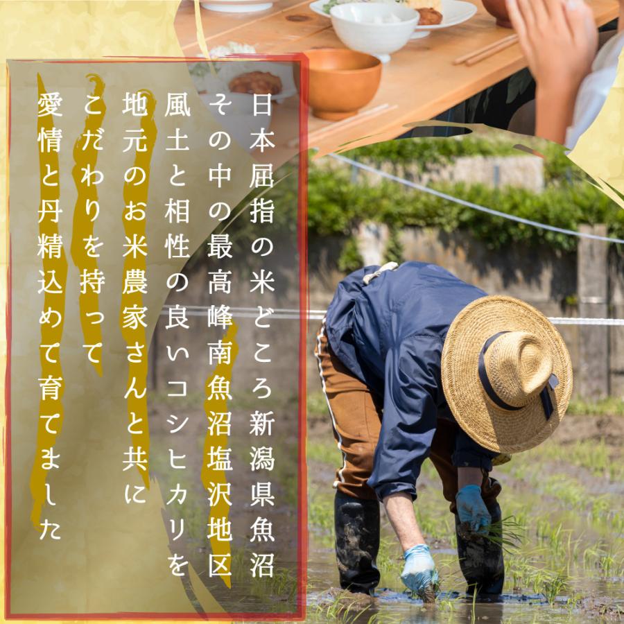 コシヒカリ 米 令和6年 10kg 玄米10kg 新潟県南魚沼 しおざわ産 コシヒカリ 米 令和6年 10kg 玄米10kg 新潟県南魚沼 しおざわ産