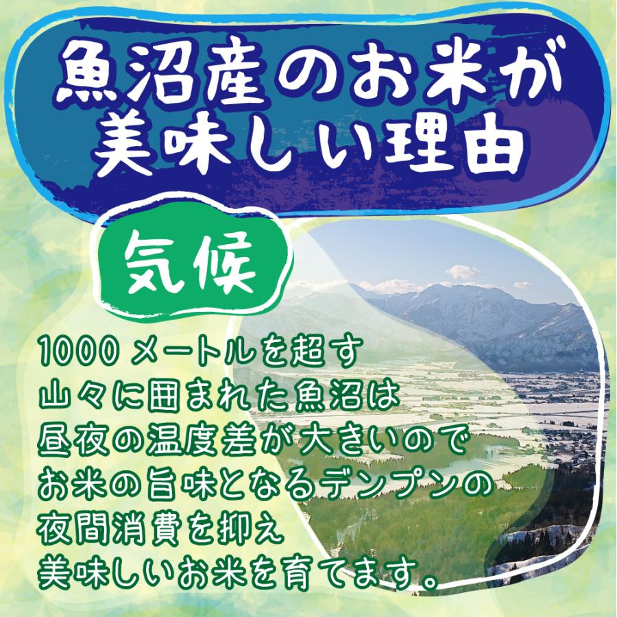 コシヒカリ 【入荷待ち】米 令和6年 10kg 玄米10kg 新潟県南魚沼 コシヒカリ 【入荷待ち】米 令和6年 10kg 玄米10kg 新潟県南魚沼