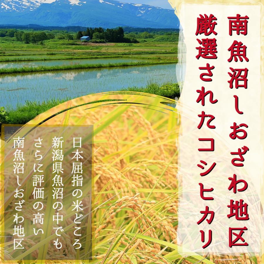 コシヒカリ 米 令和6年 20kg 玄米20kg 新潟県南魚沼 しおざわ産 コシヒカリ 米 令和6年 20kg 玄米20kg 新潟県南魚沼 しおざわ産