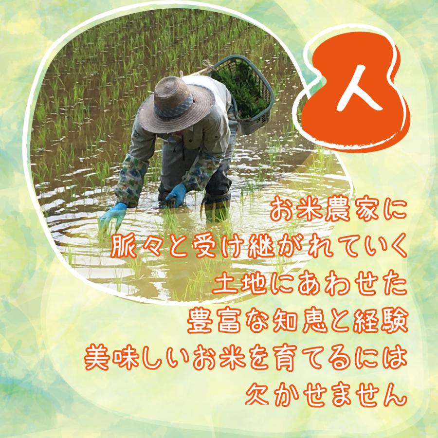 コシヒカリ 米 令和6年 30kg 玄米30kg 新潟県南魚沼 しおざわ産 コシヒカリ 米 令和6年 30kg 玄米30kg 新潟県南魚沼 しおざわ産