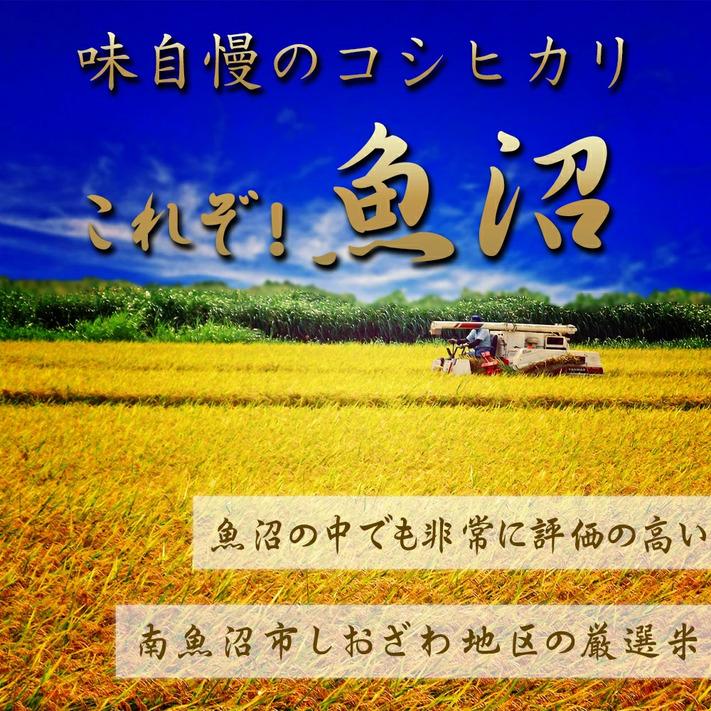 米 令和5年 お米 30kg コシヒカリ 玄米30kg 新潟県南魚沼 しおざわ産 コシヒカリ 玄米 30kg 精米無料  米 おこめ お米 玄米 30kg｜komenouka｜08