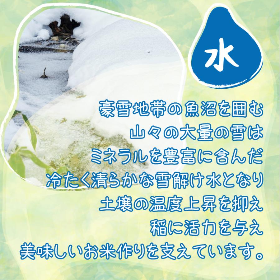 コシヒカリ 米 令和6年 30kg 玄米30kg 新潟県南魚沼 しおざわ産 コシヒカリ 米 令和6年 30kg 玄米30kg 新潟県南魚沼 しおざわ産
