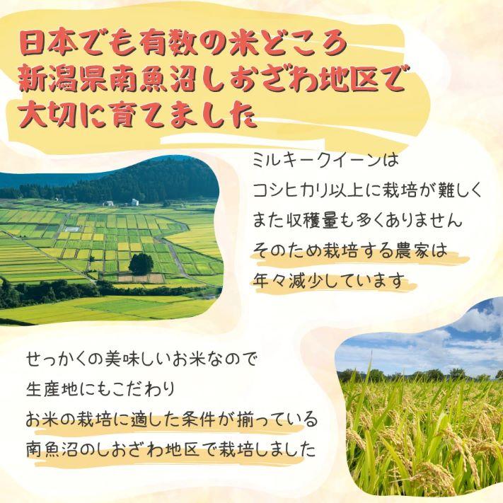 米 令和5年 米 お米 10kg 新潟県南魚沼産ミルキークイーン 玄米10kg  精米無料 ｜ 玄米 米 おこめ お米 10kg 送料無料｜komenouka｜10