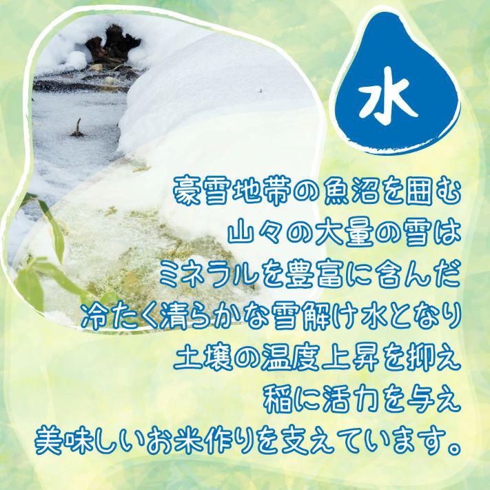 米 令和5年 米 お米 10kg 新潟県南魚沼産ミルキークイーン 玄米10kg  精米無料 ｜ 玄米 米 おこめ お米 10kg 送料無料｜komenouka｜12