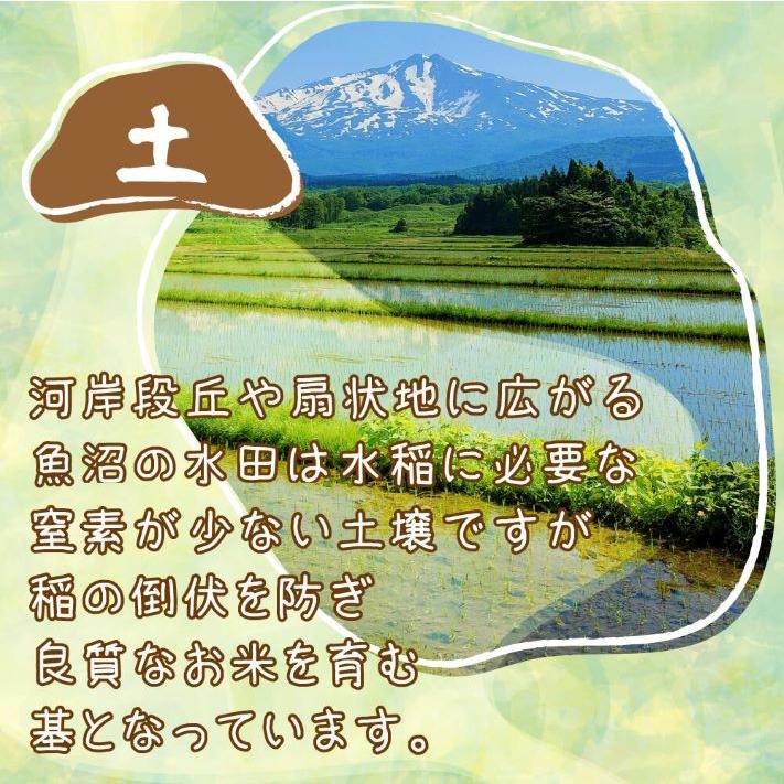 米 令和5年 米 お米 20kg 新潟県南魚沼産ミルキークイーン 玄米20kg 精米無料 ｜玄米 米 おこめ お米 20kg 送料無料 ｜ LINE友達登録で5%OFFクーポン｜komenouka｜14