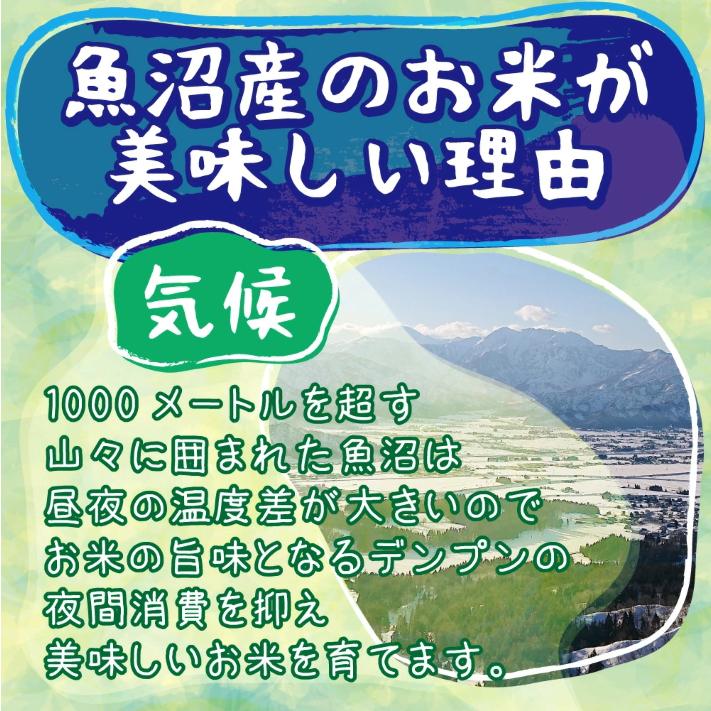 米 令和5年 米 お米 20kg 新潟県南魚沼産ミルキークイーン 玄米20kg 精米無料 ｜玄米 米 おこめ お米 20kg 送料無料 ｜ LINE友達登録で5%OFFクーポン｜komenouka｜12