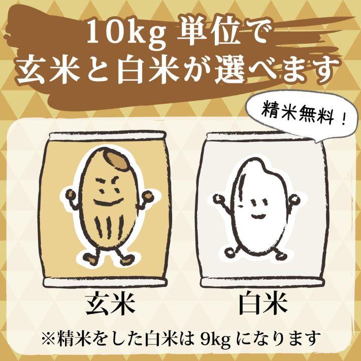 米 令和5年 お米 30kg  新潟県南魚沼産ミルキークイーン 玄米30kg  精米無料 ｜ 玄米 米 おこめ お米 30kg 送料無料 ｜ LINE友達登録で5%OFFクーポン｜komenouka｜18