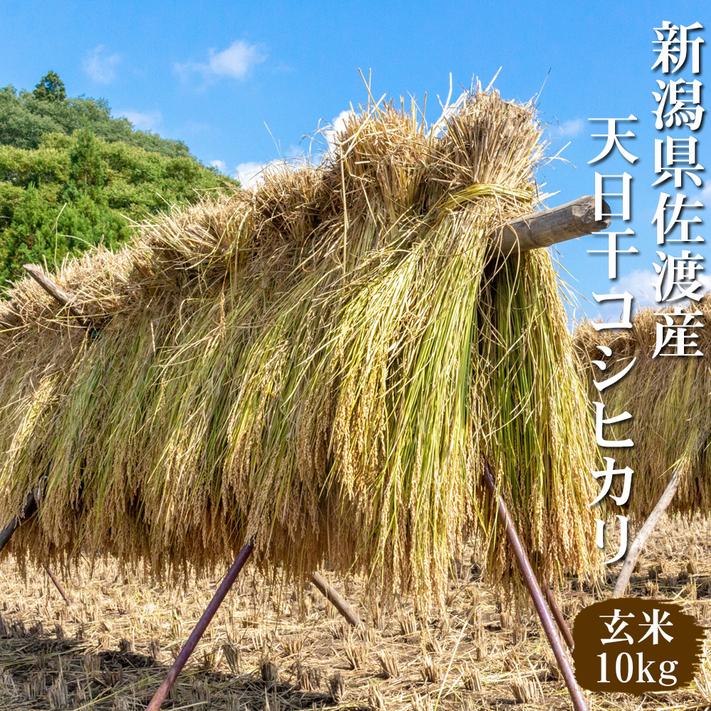 コシヒカリ 米 令和6年 お米 玄米 10kg 送料無料 新潟県佐渡産天 コシヒカリ 米 令和6年 お米 玄米 10kg 送料無料 新潟県佐渡産天