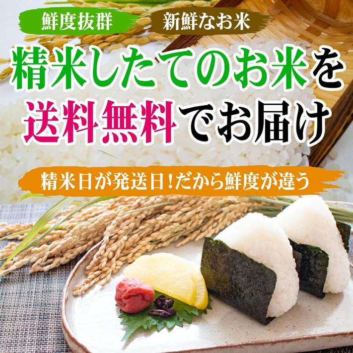 米 令和５年 お米 10kg コシヒカリ 玄米 10kg 送料無料 新潟県佐渡産天日干 コシヒカリ  令和５年産米 ｜ 玄米 米 お米 10kg 送料無料｜komenouka｜13