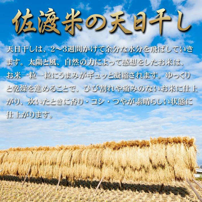 コシヒカリ 米 令和6年 お米 玄米 10kg 送料無料 新潟県佐渡産天 コシヒカリ 米 令和6年 お米 玄米 10kg 送料無料 新潟県佐渡産天