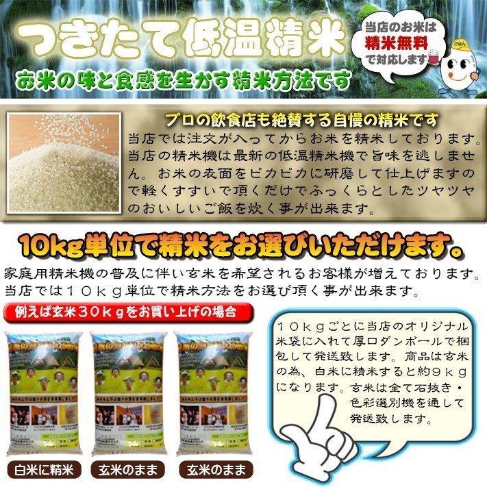 米 令和５年 お米 20kg コシヒカリ 玄米 20kg 送料無料 新潟県佐渡産天日干 コシヒカリ  ｜ 玄米 米 お米 20kg 送料無料｜komenouka｜18