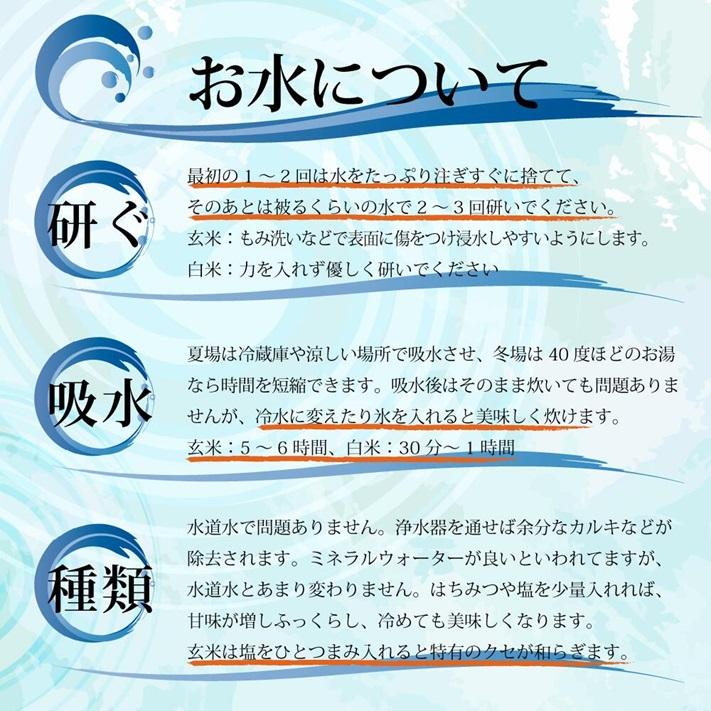 米 新潟県 コシヒカリ 令和7年 10kg 新潟県天水田 コシヒカリ 白米10kg （5kg×2）天然雪解け水と湧き水で育てた 棚田米 ｜ | コシヒカリ | 10