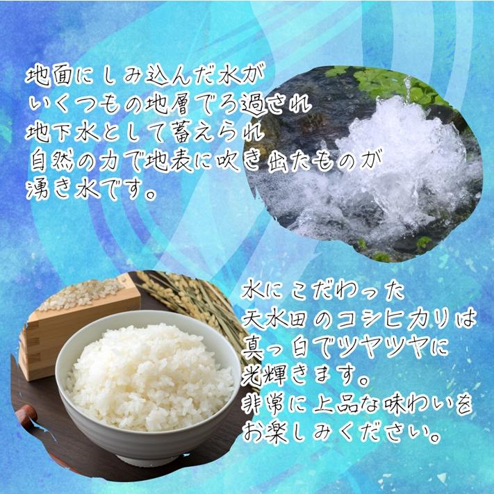 米 新潟県 コシヒカリ 令和7年 10kg 新潟県天水田 コシヒカリ 白米10kg （5kg×2）天然雪解け水と湧き水で育てた 棚田米 ｜ | コシヒカリ | 04
