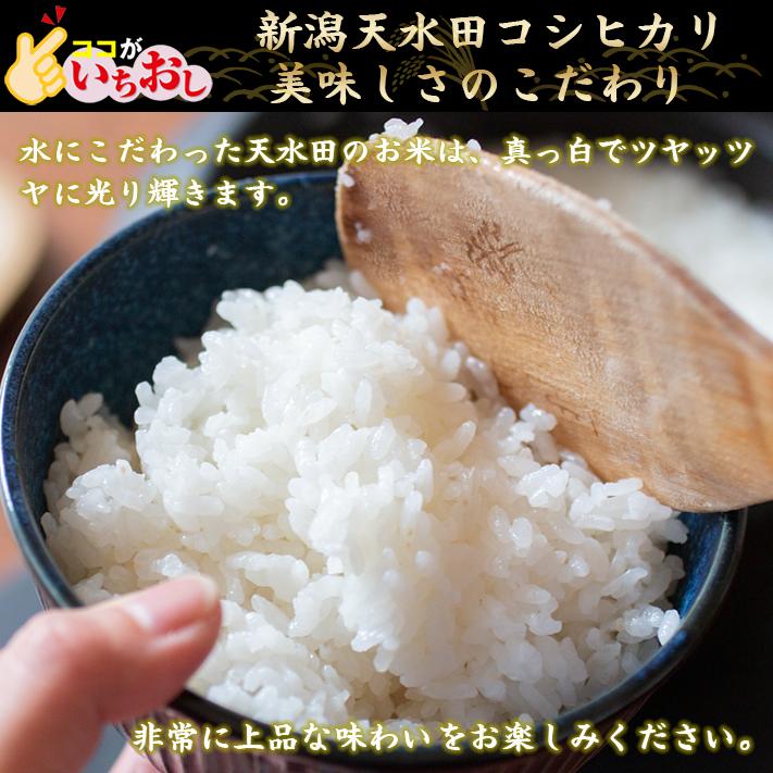 高級 10キロ×2袋 合計20キロ 令和3年産 新米 天日干し 白米 あきたこまち atak.com.br 高級 10キロ×2袋 合計20キロ 令和3年産 新米 天日干し 白米 あきたこまち atak.com.br