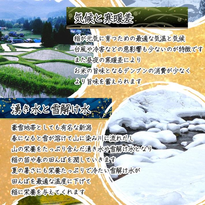 コシヒカリ 米 新潟県 令和7年 10kg 新潟県天水田 白米10kg （5kg×2