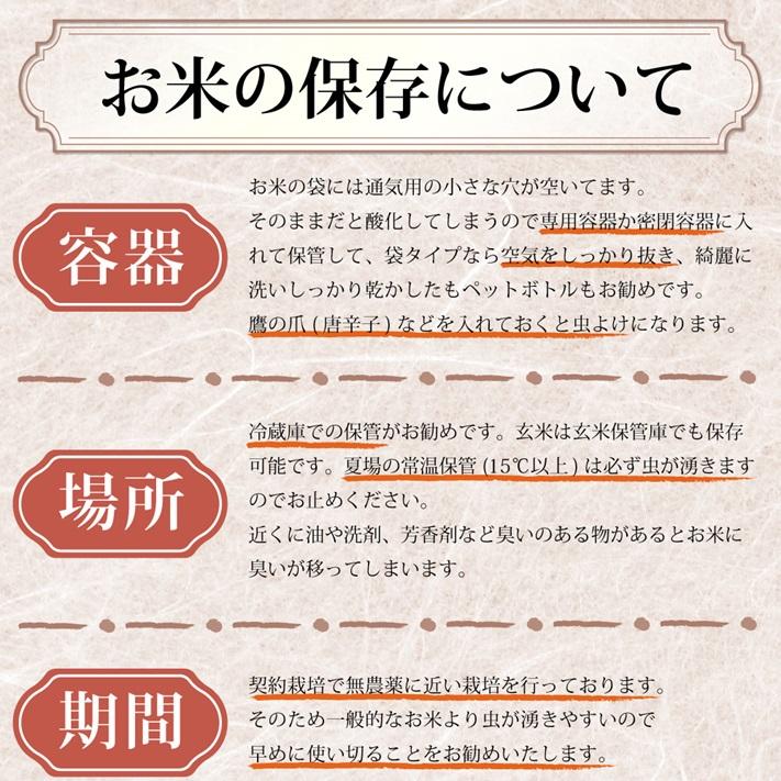 米 新潟県 コシヒカリ 令和7年 5kg 新潟県天水田 コシヒカリ 白米5kg （5kg×1）天然雪解け水と湧き水で育てた 棚田米 ｜ | コシヒカリ | 12